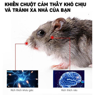 Sáp Đuổi Chuột Cao Cấp 200g - Giải Pháp Tối Ưu Chống Chuột Xâm Nhập Ô Tô Hiệu Quả Nhất`