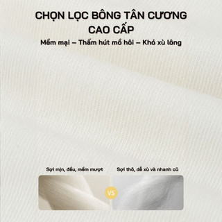 Combo 3 tất cotton họa tiết mèo dễ thương, chất liệu bông cao cấp mềm mịn, co giãn thoáng khí, bền màu Life Plus - TGN06