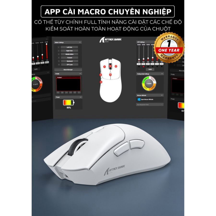 Chuột Gaming Không Dây Attack Shark R1-X11 Siêu Nhẹ Chip Paw3311 Cực Mạnh 3 Chế Độ Kết Nối Bluetooth / 2.4G / Type-C