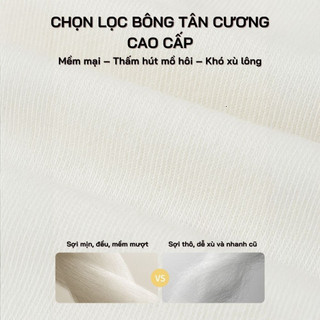 Tất cotton họa tiết mèo dễ thương, chất liệu Tân Cương cao cấp mềm mịn, co giãn thoáng khí, bền màu - TGN06