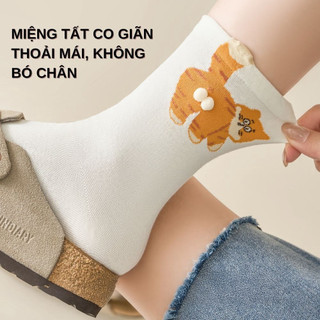 Tất cotton họa tiết mèo dễ thương, chất liệu Tân Cương cao cấp mềm mịn, co giãn thoáng khí, bền màu - TGN06