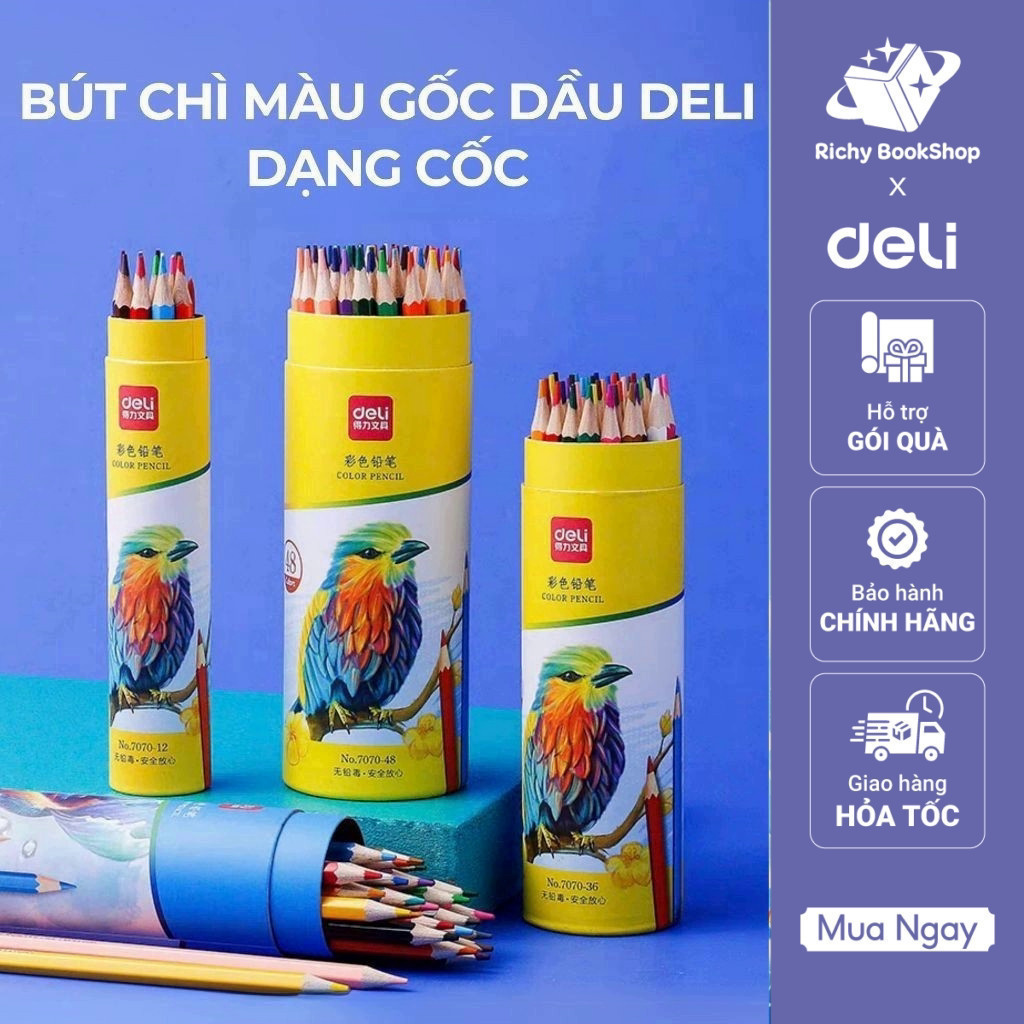 Bút Chì Màu Gốc Dầu Deli Dạng Cốc 12/24/36/48 Màu - Bút Chì Gỗ Khô Tự Nhiên An Toàn