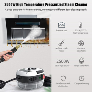 Máy làm sạch hơi nước cao 2500W 220V/110V, máy làm sạch di động, điều hòa không khí, nhà bếp, xe hơi ( hàng có sẵn)