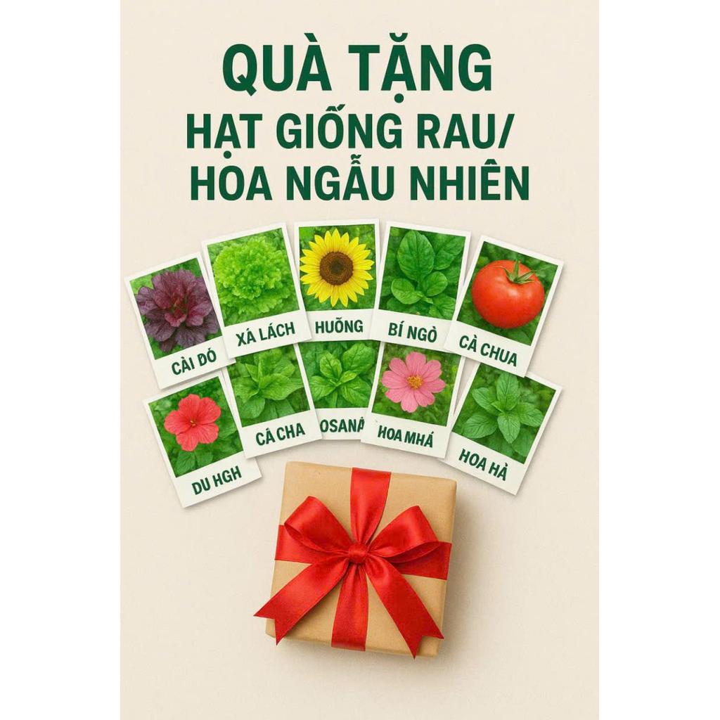 🎁 Quà Tặng Hạt Giống Rau – Hoa Ngẫu Nhiên