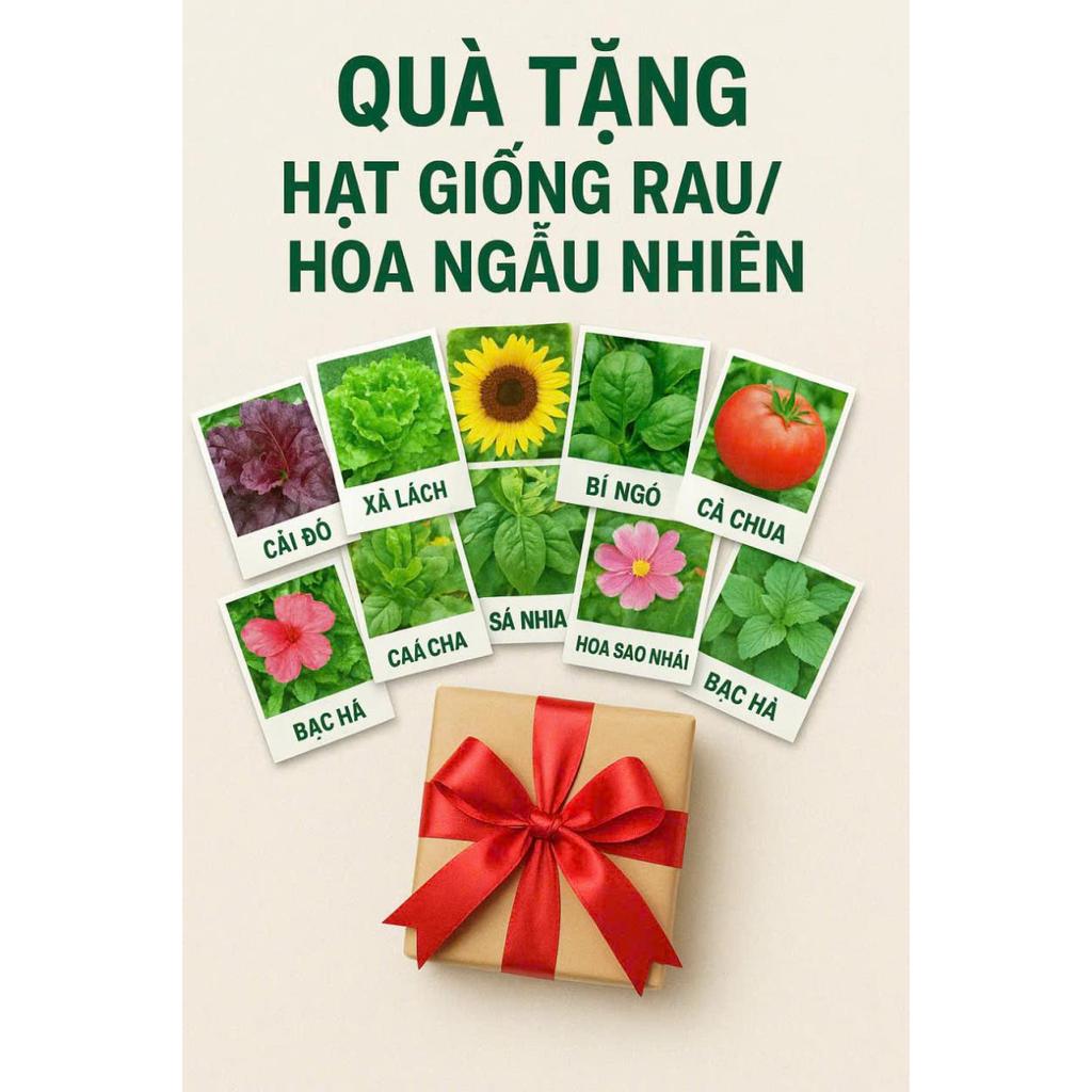 🎁 Quà Tặng Hạt Giống Rau – Hoa Ngẫu Nhiên 2