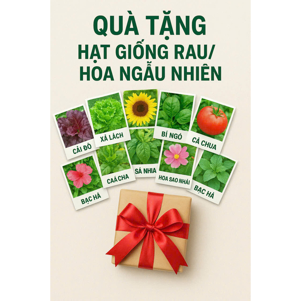 🎁 Quà Tặng Hạt Giống Rau – Hoa Ngẫu Nhiên 2