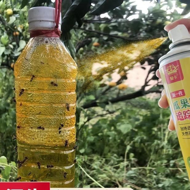 Bình Xịt Bẫy Ruồi Vàng Chính Hãng 260ml - An Toàn, Không Độc Hại