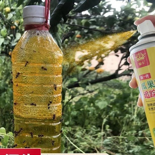Chai Bẫy Ruồi Vàng 260ml - An Toàn, Không Độc Hại