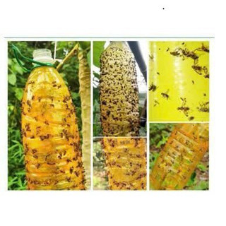 Chai Bẫy Ruồi Vàng 260ml - An Toàn, Không Độc Hại