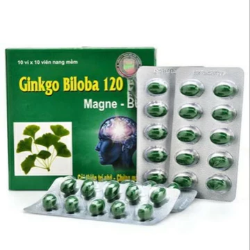 Ginkgo Biloba 120 Bổ Sung Dưỡng Chất Cho Não hoạt huyết dưỡng não tăng cường lưu thông máu não Ginkgo Biloba 120mg