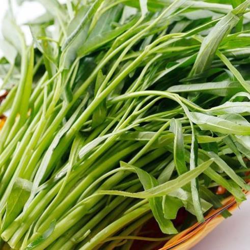 Hạt giống Rau muống lá tre hàng công ty