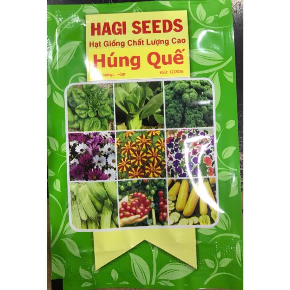 Hạt giống rau húng quế nảy mầm tốt