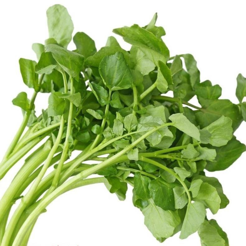 Hạt giống Rau Xà lách Xoong Mỹ (cải xoong) hàng công ty
