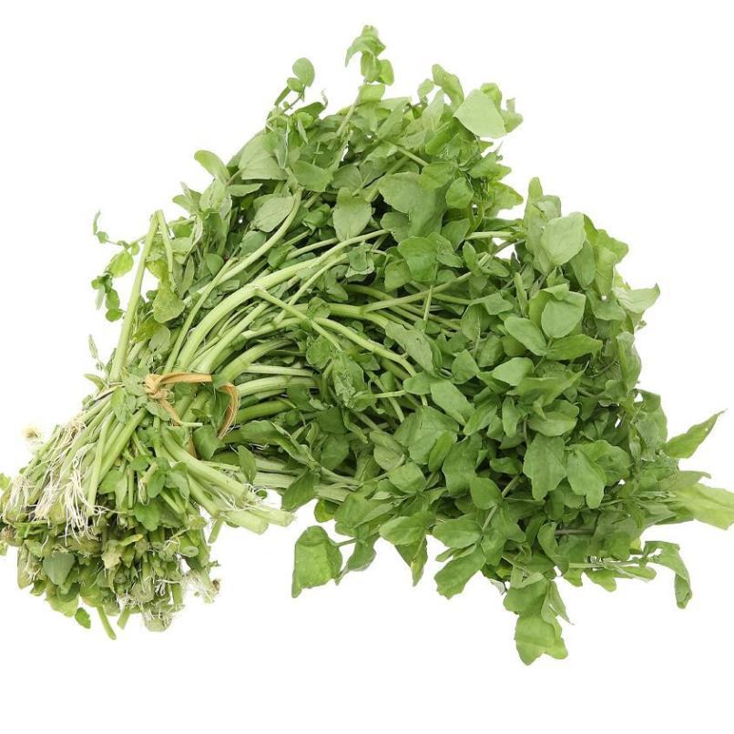 Hạt giống Rau Xà lách Xoong Mỹ (cải xoong) hàng công ty