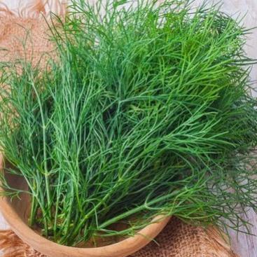 Hạt giống rau Thì Là bốn mùa