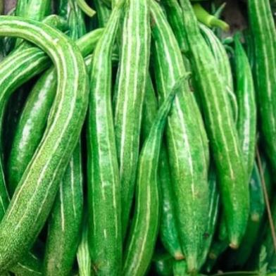 Hạt giống lặc lè (mướp nhật) 5gram hàng công ty
