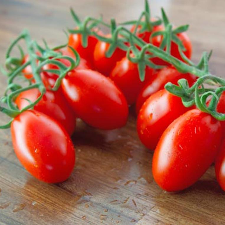Hạt giống Cà chua cherry đỏ (bi đỏ) hàng công ty