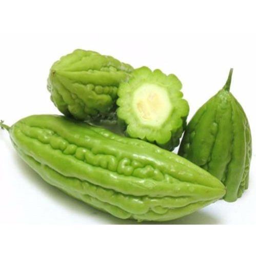 Hạt giống Mướp đắng F1 gói 2 gram hàng công ty