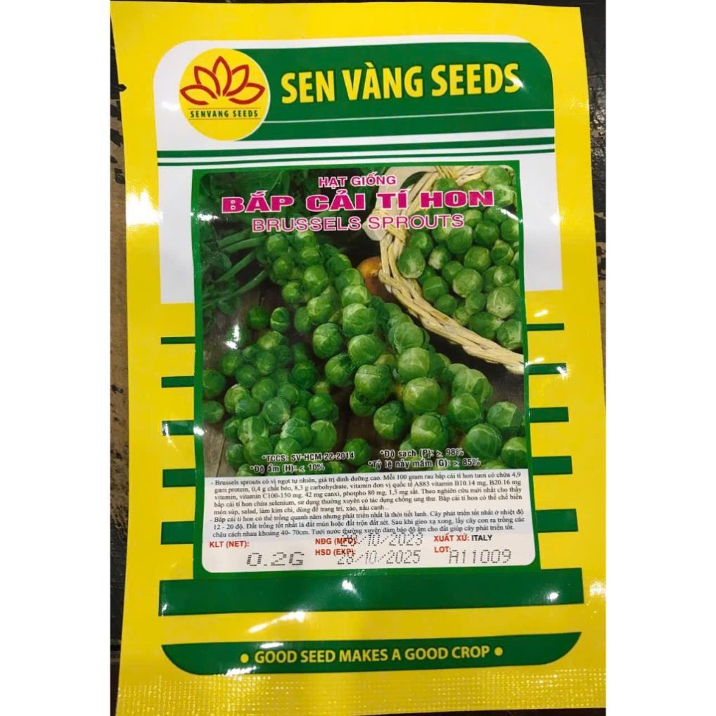 Hạt Giống Bắp Cải Tí Hon hàng công ty