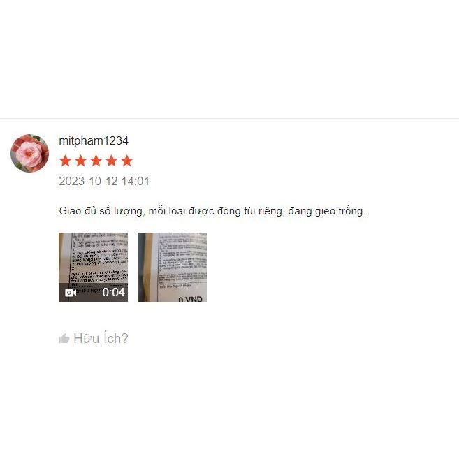 Hạt giống Cải Cúc Nếp