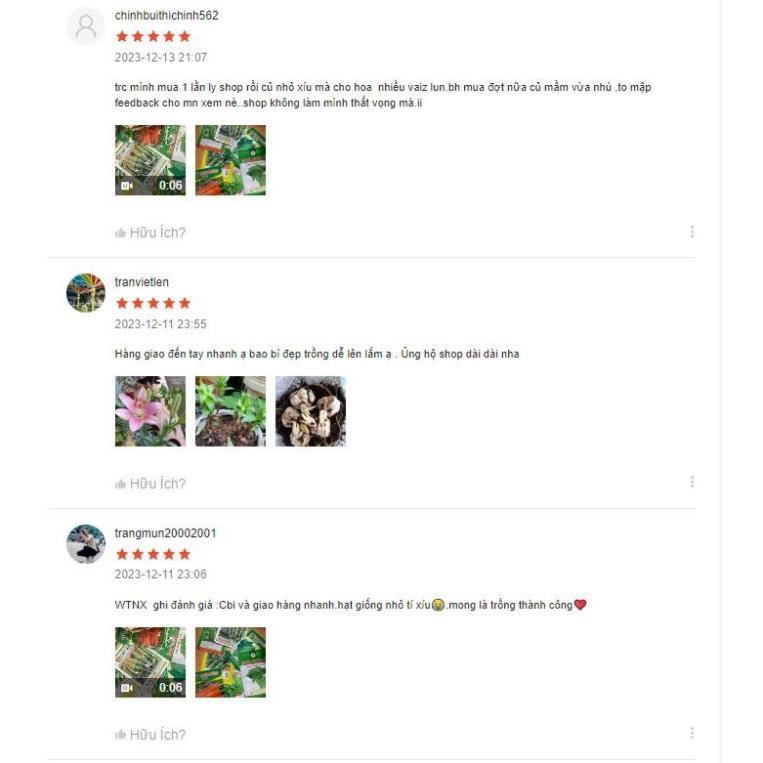 Hạt giống bầu sao dài năng suất