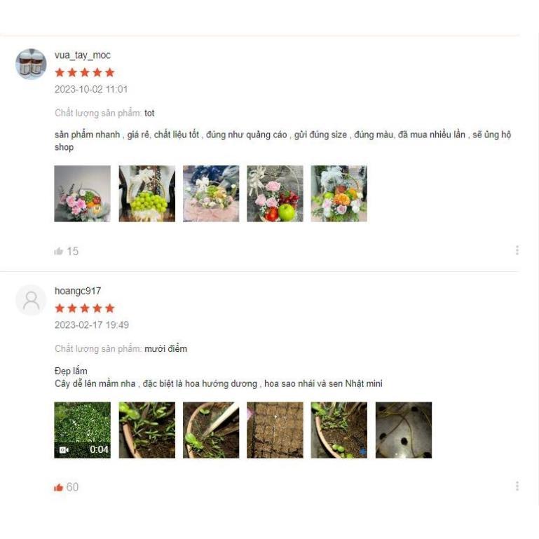 Hạt giông cải cầu vồng hàng công ty