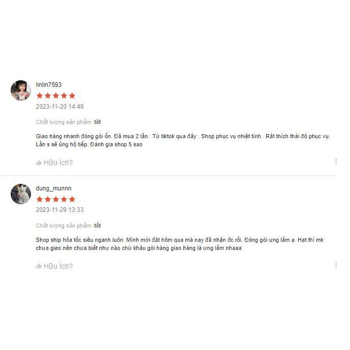 Hạt giống rau Cải Bẹ Dúm hàng công ty