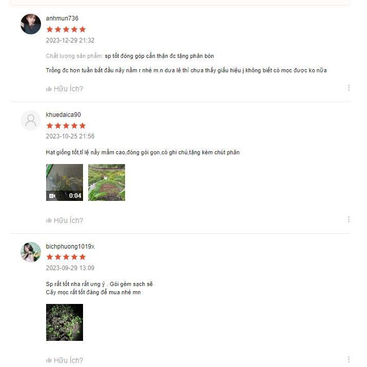 Hạt giống rau cải làn hàng công ty