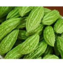 Hạt giống Mướp Đắng chịu nhiệt (gói 5gram)