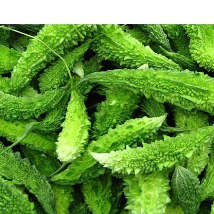Hạt giống Mướp đắng Rừng hàng công ty