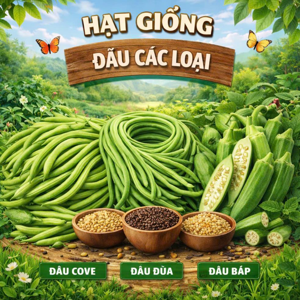 Hạt giống đậu F1 các loại nảy mầm tốt (hàng công ty)