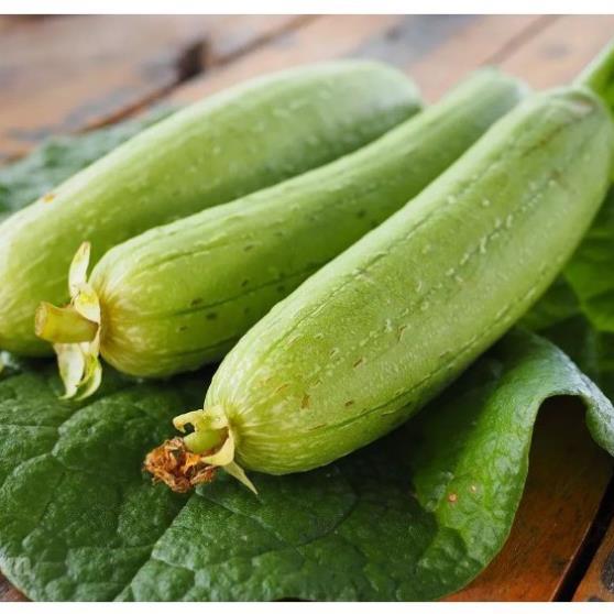 Hạt giống mướp hương thái lan