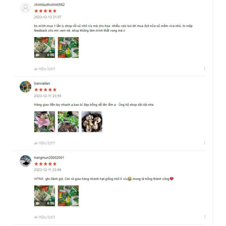 Hạt giống Củ cải Hà Nội ăn lá hàng công ty