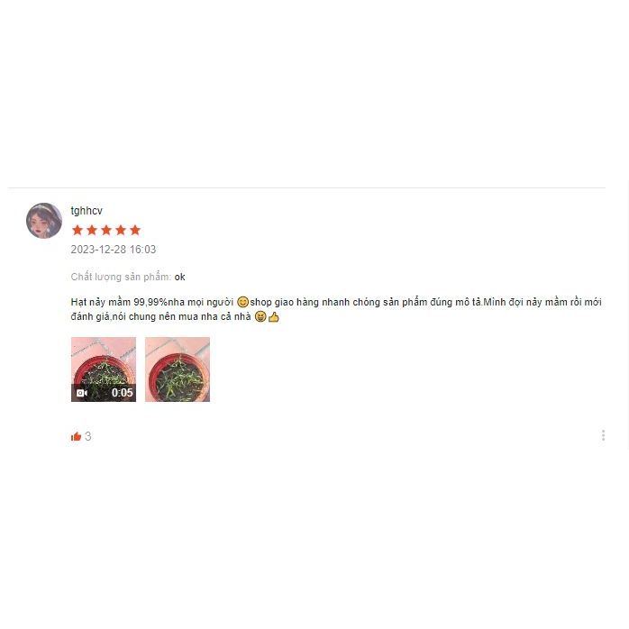 Hạt Giống Hoa Hồng Mix Đủ Loại