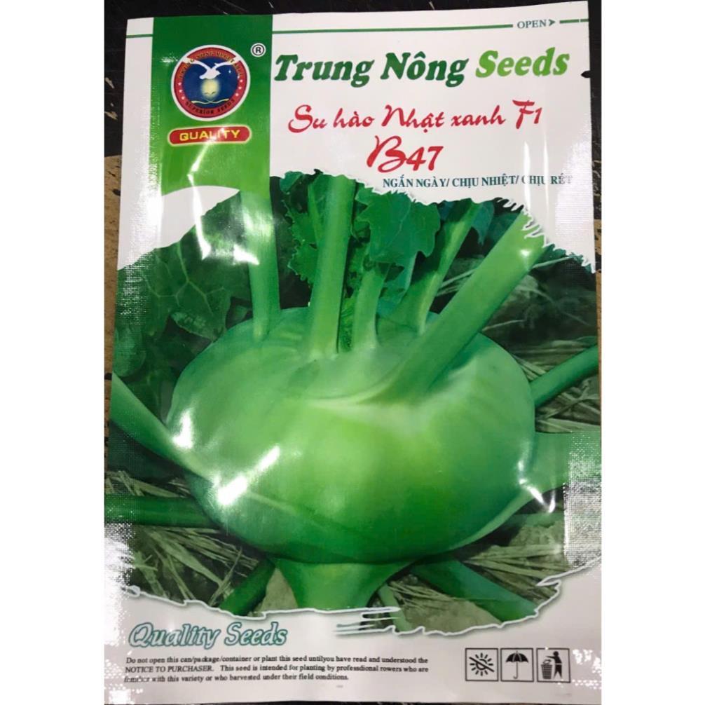 Hạt giống su hào xanh hàng công ty