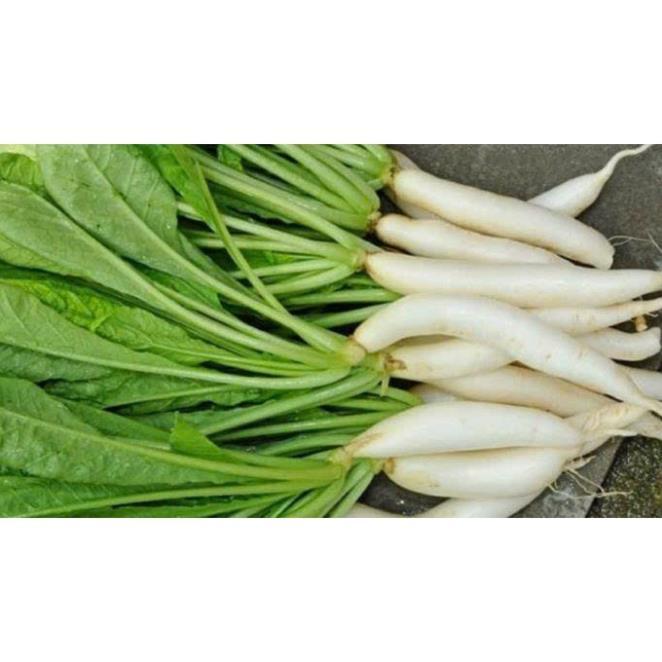 Hạt giống Củ Cải Trắng Hà Nội hàng chính hãng công ty đóng gói