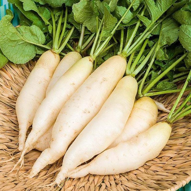 Hạt giống Củ Cải Trắng Hà Nội hàng chính hãng công ty đóng gói