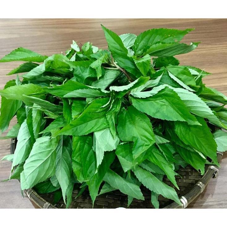 Hạt giống rau Rau Đay hàng công ty