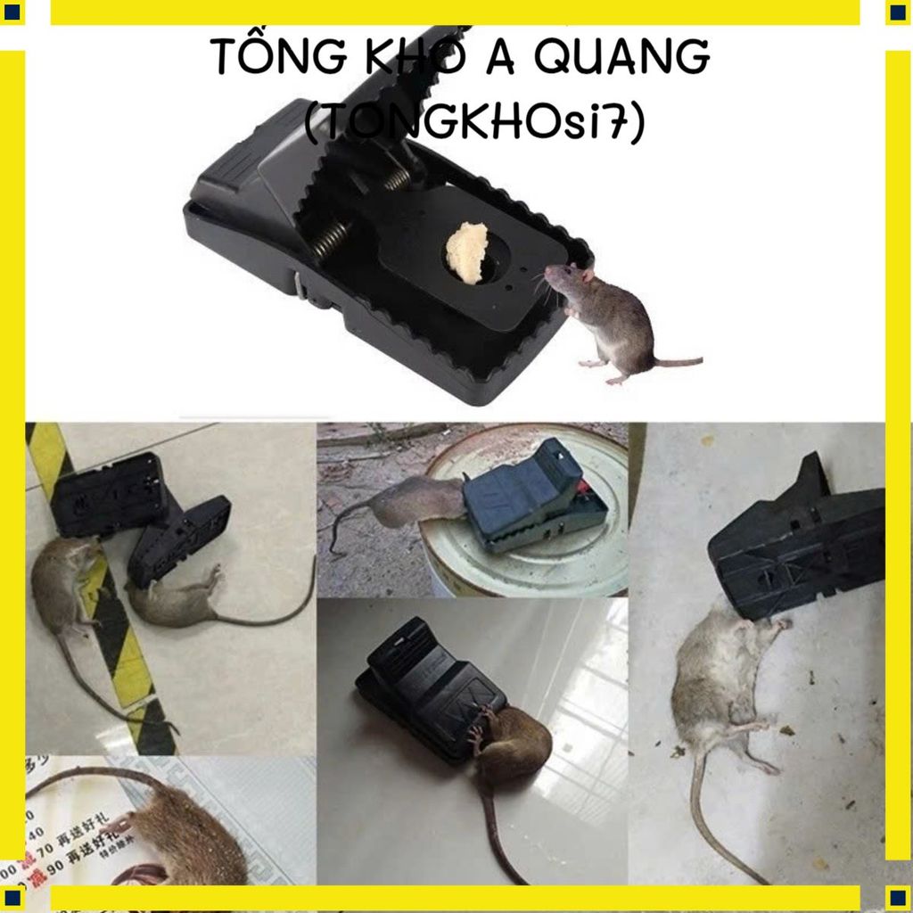 COMBO 10 Dụng Cụ Bẫy Chuột Cao Cấp – Bẫy Chuột Đen Thông Minh, Tiện Lợi, Giúp Tiết Kiệm Thời Gian