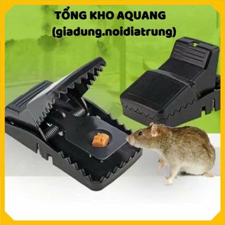 COMBO 10 Dụng Cụ Bẫy Chuột Thông Minh – Bẫy Chuột Đen Cao Cấp, Tiện Lợi, Dễ Dùng Cho Nhà Bếp