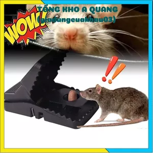 COMBO 10 Dụng Cụ Bẫy Chuột Đa Năng – Bẫy Chuột Đen Thông Minh, Cao Cấp, Tiện Lợi Cho Nội Trợ