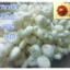 THÙNG LẠNH 05KG] CỦ NĂNG GỌT SẴN-(BẮT BUỘC BẢO QUẢN BẰNG ĐÁ HOẶC NƯỚC ĐÁ)