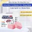 COMBO HỘP VIÊN SỦI VỆ SINH THÔNG TẮC BỒN CẦU - Viên Tẩy Khử Mùi Bồn Cầu Đường Ống Siêu Hiệu Quả