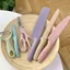 BỘ DAO LÚA MẠCH KHÁNG KHUẨN 6 MÓN HỘP ĐỰNG CAO CẤP - Set Dao 6 Chi Tiết Lúa Mạch Đồ Dùng Dụng Cụ Nhà Bếp