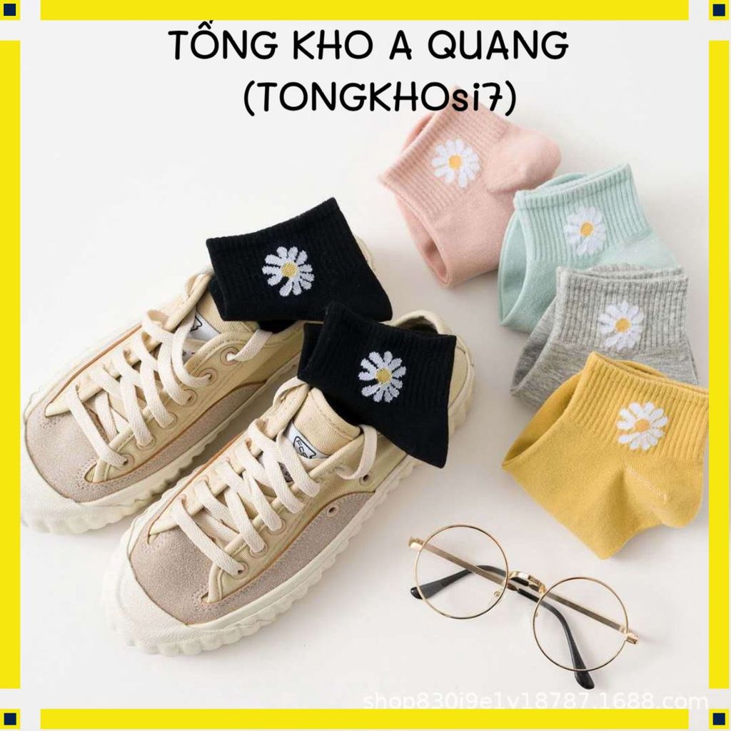 Combo 10 Đôi Tất Hoa Cúc Kèm Túi, Vớ Cotton Họa Tiết Hoa Cúc Xinh Xắn Dành Cho Nữ
