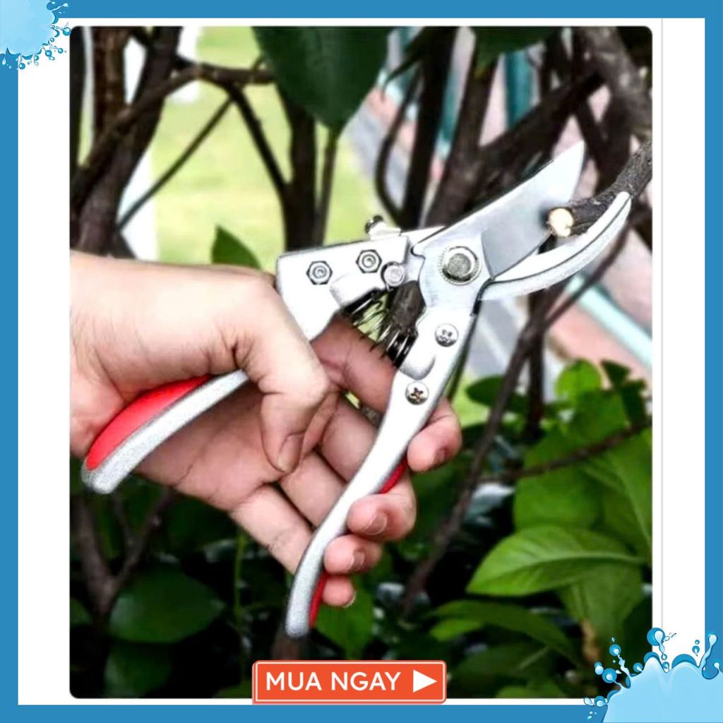 KÌM CẮT TỈA CÀNH CÂY ĐA NĂNG - Kéo cắt cành cây- LÀM VƯỜN - MA: KEO CATCANHCAY5