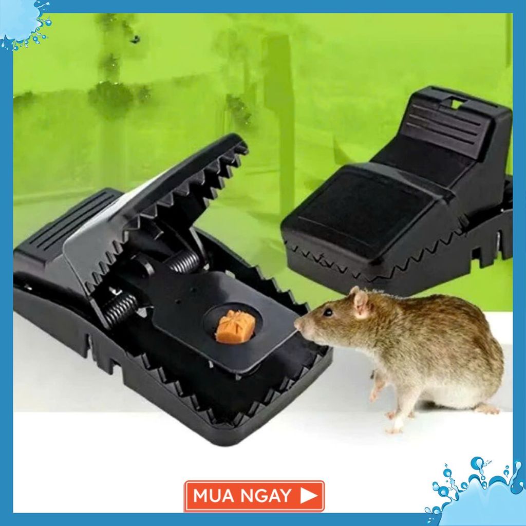 [COMBO 10] DỤNG CỤ BẪY CHUỘT THÔNG MINH - BẪY CHUỘT ĐEN THÔNG MINH - MA:BAYCHUOT58