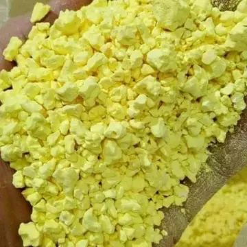 1kg Nghệ hạt - Tinh bột nghệ nguyên chất | tinh nghệ hỗ trợ tiêu hóa, làm đẹp da