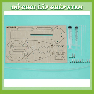 Cánh tay thủy lực - Đồ chơi STEM STEAM - Học liệu