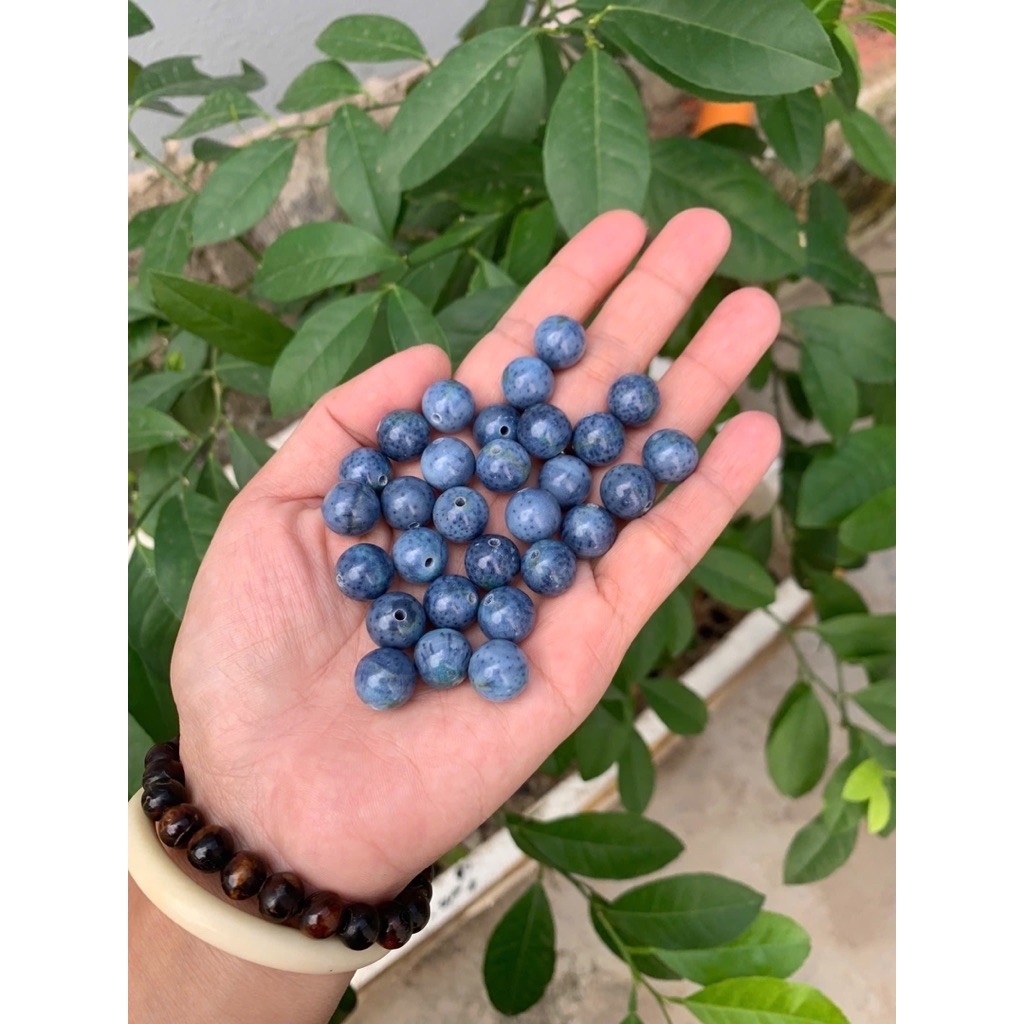 5 hạt san hô xanh mix vòng nhiều size